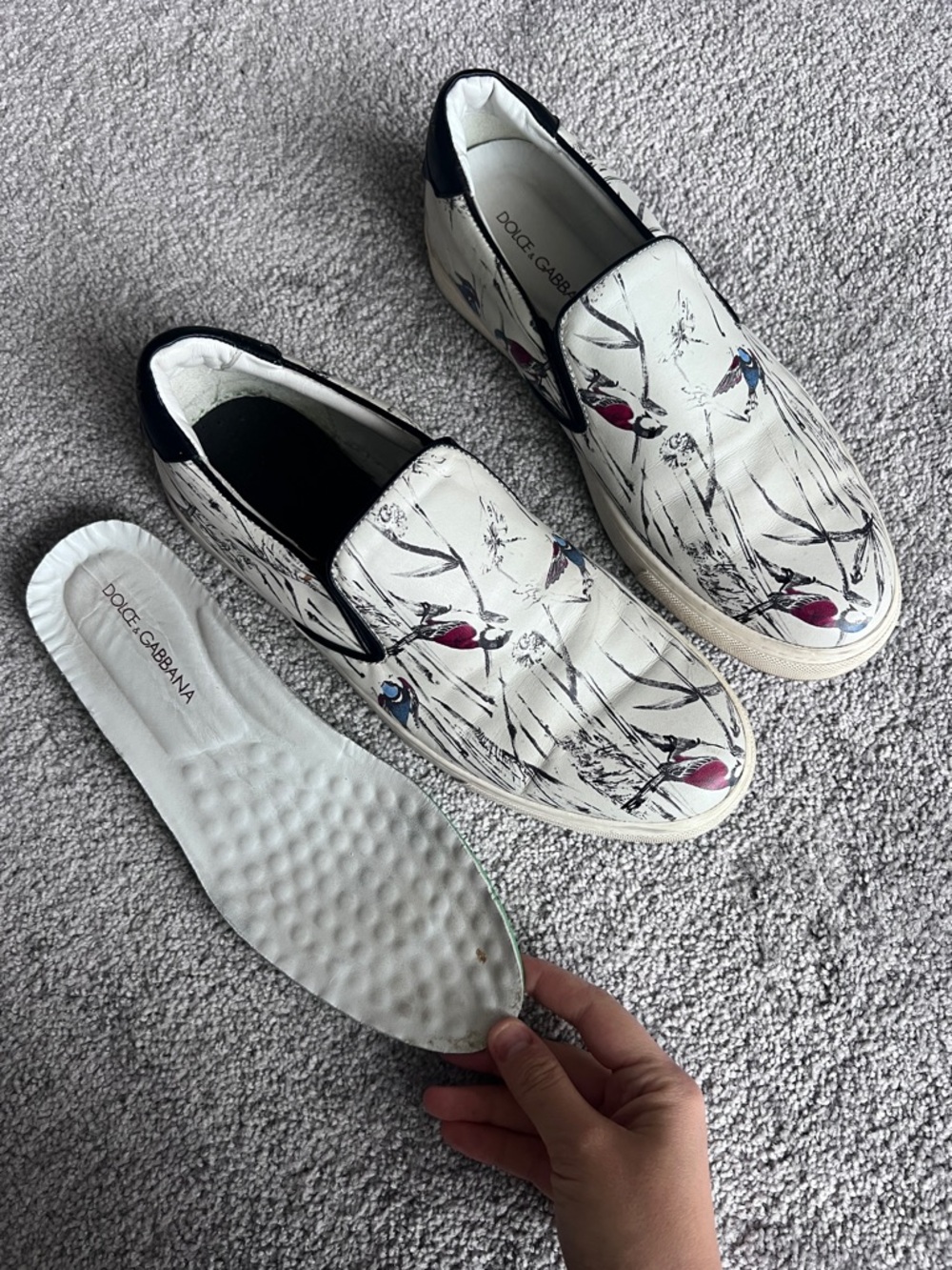 Authentic Dolce & Gabbana Bird Print Leather Slip-On Sneakers | Made in Italy